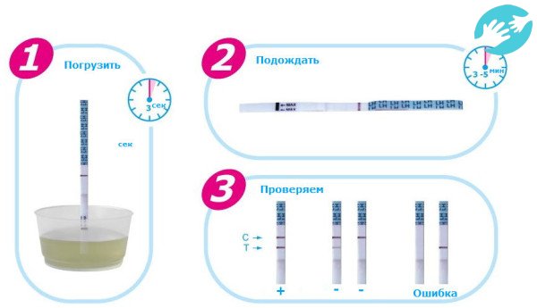 Инструкция по использованию теста на овуляцию