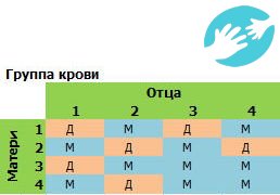 Пол ребенка по группе крови родителей