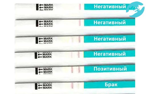 Вычисляем овуляцию по тесту с полосками