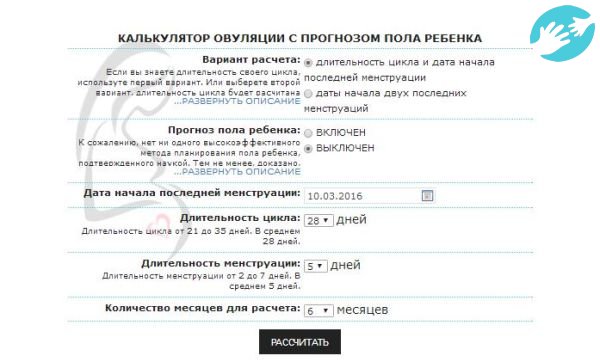 Календарь онлайн поможет правильно посчитать овуляцию