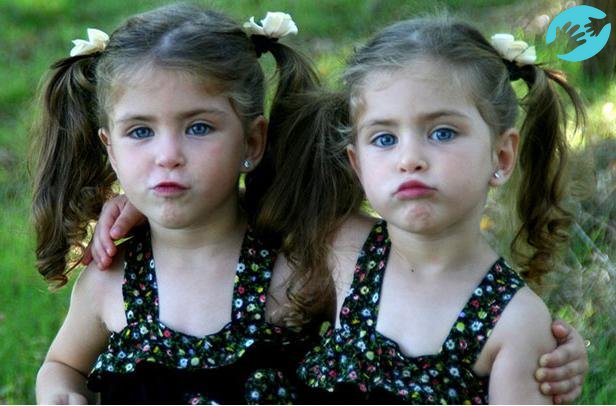 Стимуляция овуляции народными средствами может помочь с рождением двойни