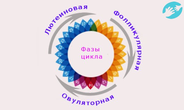 Для расчета дня начала тестирования следует от длины менструального цикла отнять 17 дней