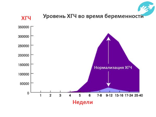Уровень ХГЧ необходимо контролировать постоянно, изменение его уровня подтверждает нормальное течение беременности
