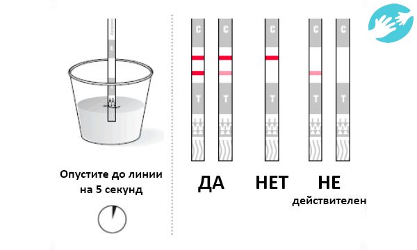 Перед использованием теста следует внимательно ознакомиться с инструкцией