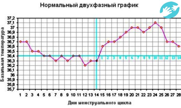 В нормальном цикле базальная температура после овуляции повышается на несколько дней до уровня 37,1..37,3°C