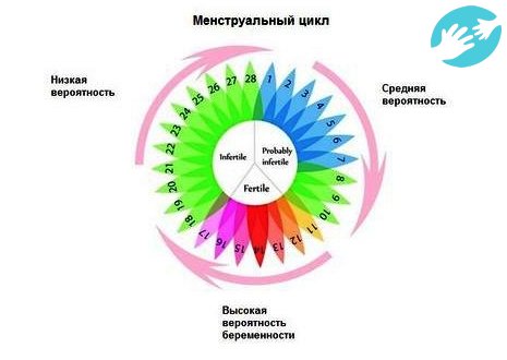 Чтобы понять на какой день после месячных можно забеременеть необходимо завести календарь, который контролирует цикл