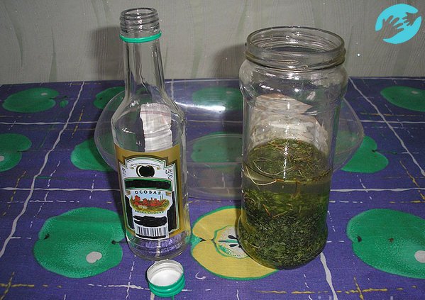 Для приготовления настойки боровой матки понадобиться спирт или водка