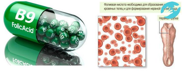 Доказано, что при приеме фолиевой кислоты, чтобы забеременеть, риск заболевания нервной трубку у потенциального плода сведен к минимуму