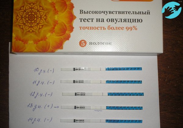 Многие девушки пользуются тест – полосками для определения дней овуляции