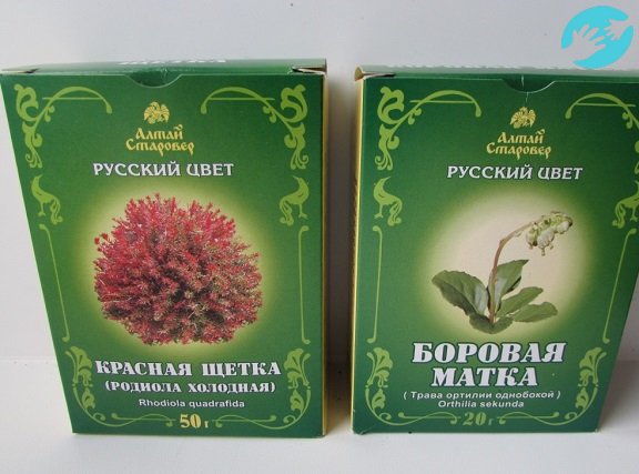 На вопрос какие травы попить, чтобы забеременеть, гинекологи обычно изучив анализы рекомендуют боровую матку или красную щетку