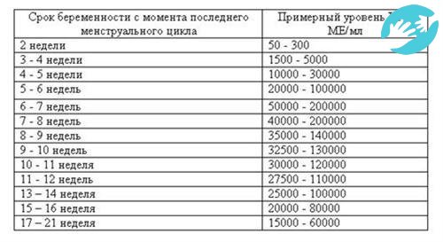При задержке месячных ХГЧ показатель с отрицательным результатом может говорить об изменениях цикла в данный момент, врачи рекомендуют повторить тест, как минимум через 5-ть дней