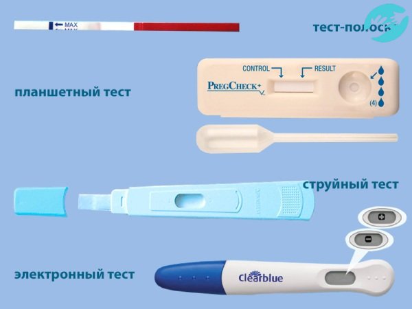 Сейчас каждая девушка может выбрать удобный для нее текст на беременность, основная разница у них в цене и способе использования