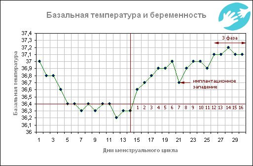 Если женщина беременна, то после повышенная температура после дня овуляции сохраниться до родов