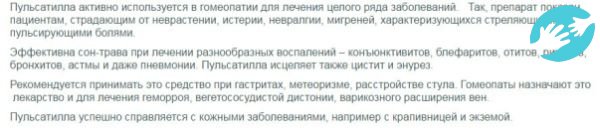 Кроме применения Пульсатиллы при задержке месячных, она имеет различные показания к лечению простудных заболеваний, гастрита, цистита и других недугов