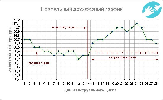 Нормальный график базальной температуры с примером, показанным на картинке позволяет отследить наличие или отсутствие овуляции