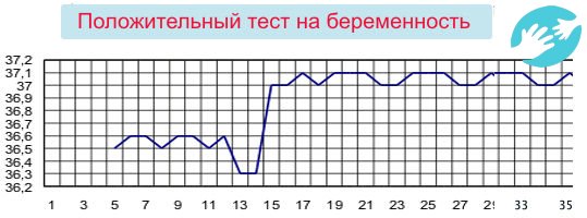 При беременности базальная температура будет держаться на уровне до 37,5°C достаточно долгое время.