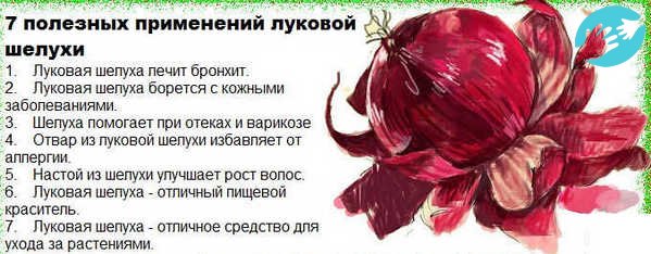 Луковая шелуха кроме как при задержке месячных применяется при гриппе, стоматите, болезнях мочеполовой системы, для профилактики инсульта и т.д.